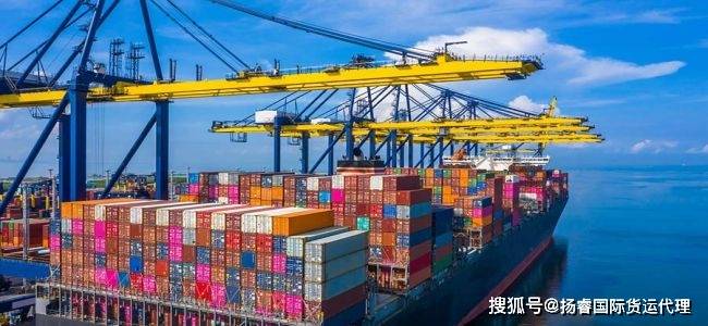 廣州木材進口清關公司有哪些:木材公司
